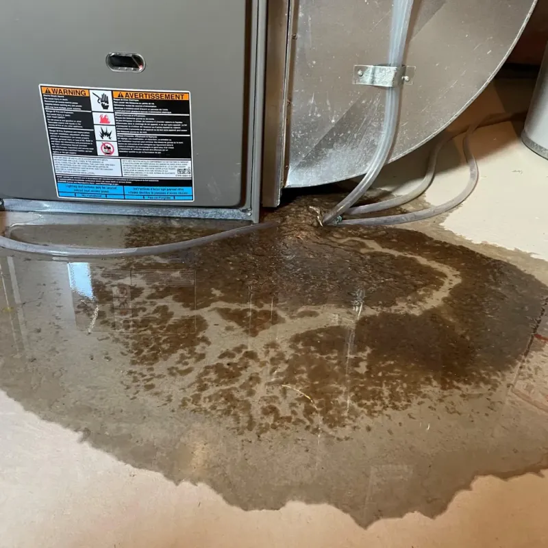 Appliance Leak Cleanup in Madison County, AL